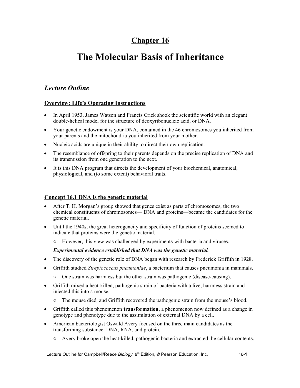 Chapter 16 the Molecule Basis of Inheritance
