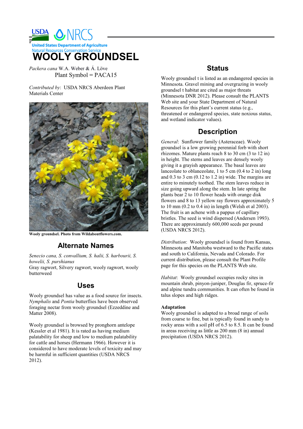 Plant Guide for Wooly Groundsel (Packera Cana)