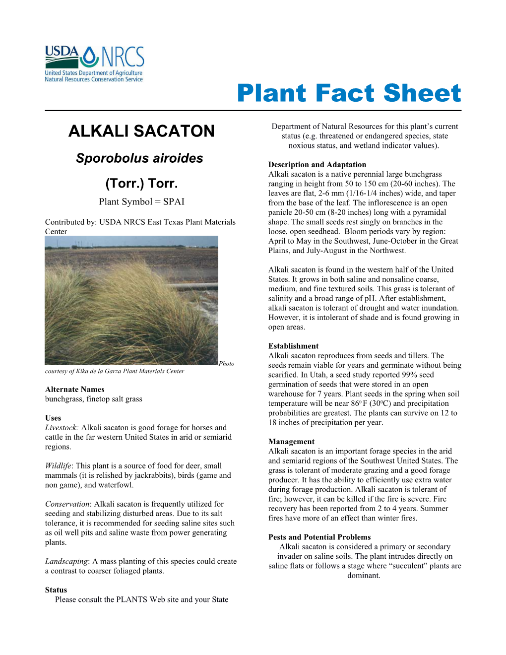 Alkali Sacaton Plant Fact Sheet