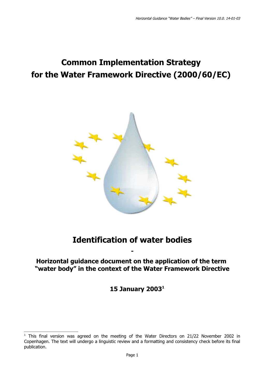 Horizontal Guidance on the Application of the Term Water Body