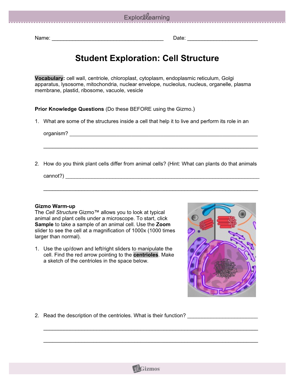 Student Exploration Sheet: Growing Plants s13