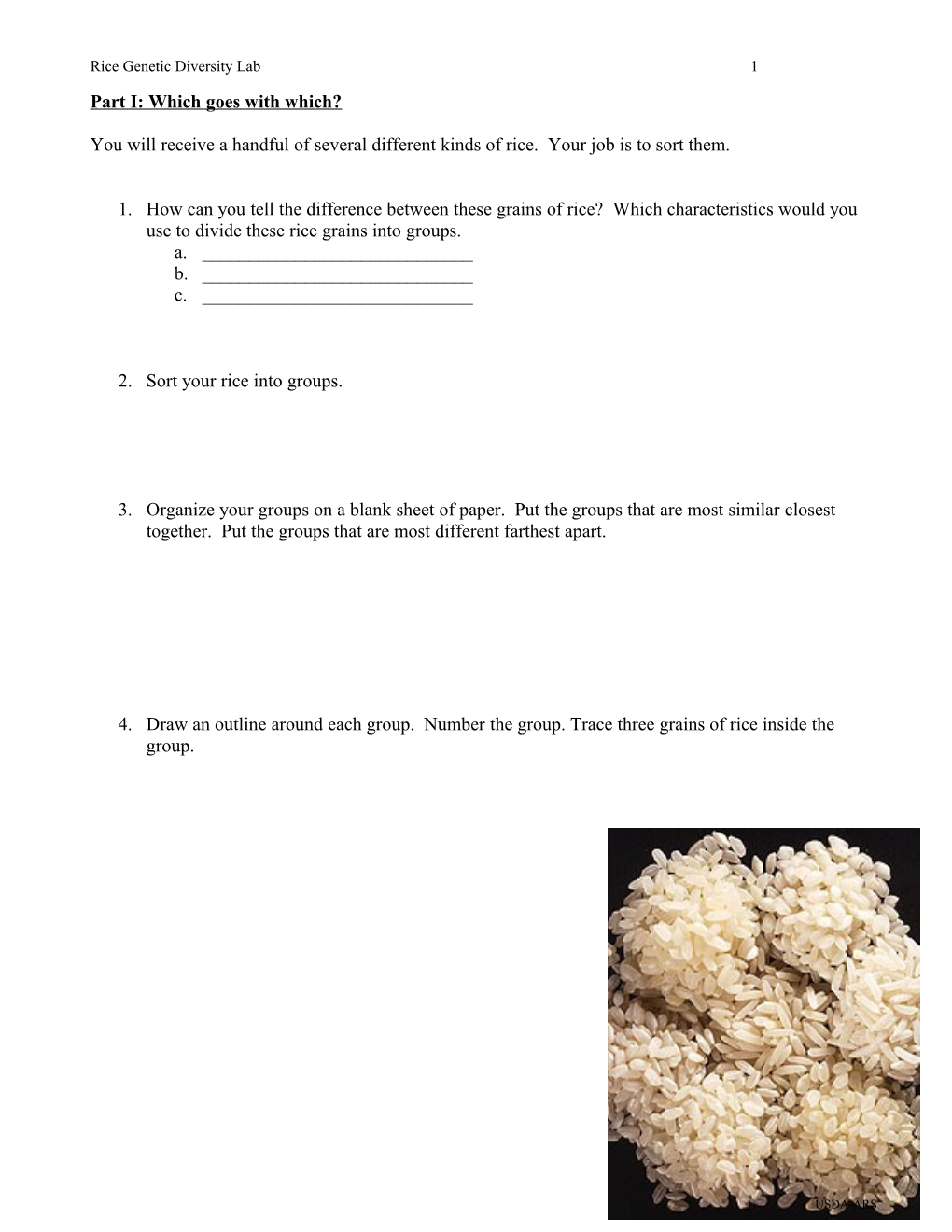 Chapter 7 Sweet Genes in Corn a Story of Mutation