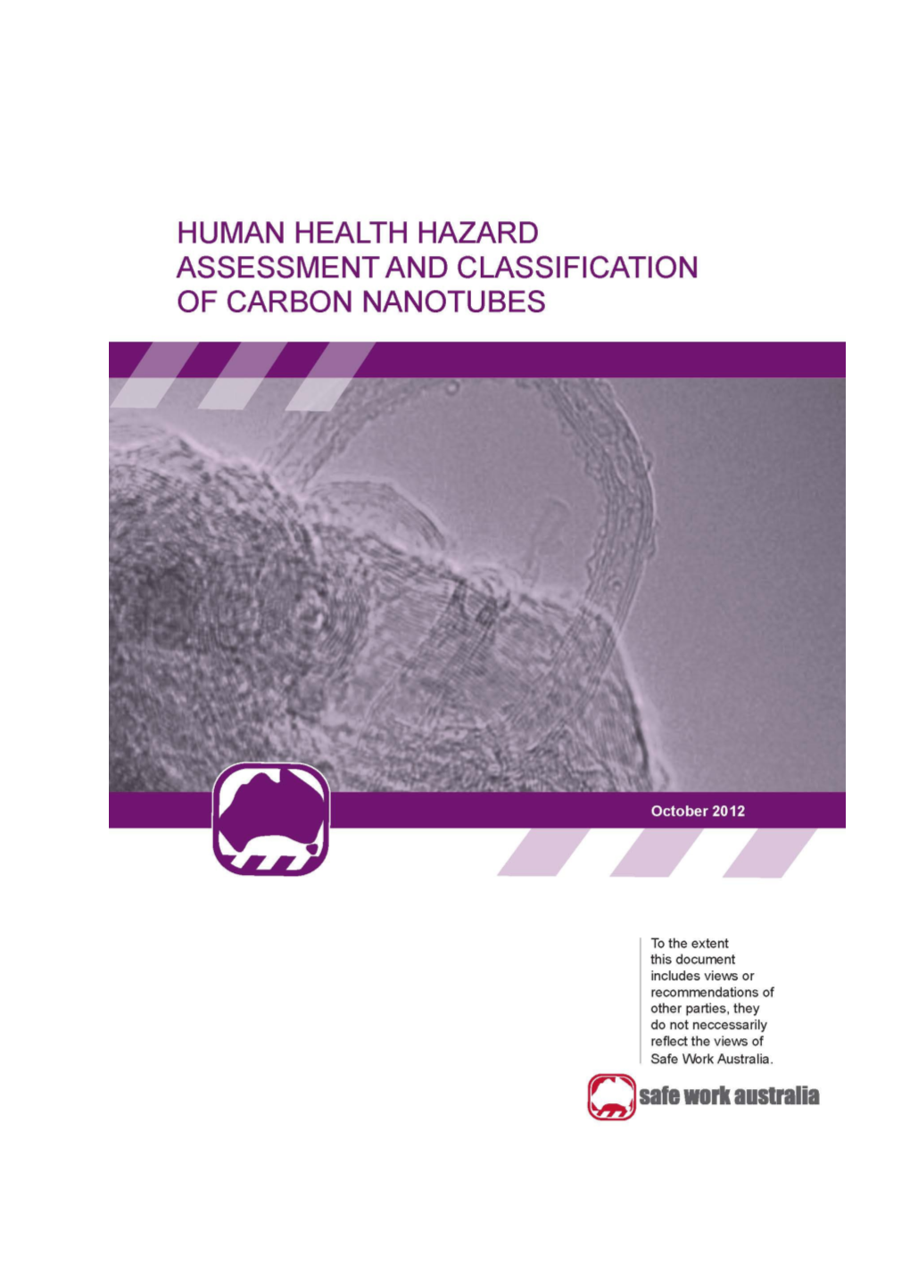 Human Health Hazard Assessment and Classification of Carbon Nanotubes