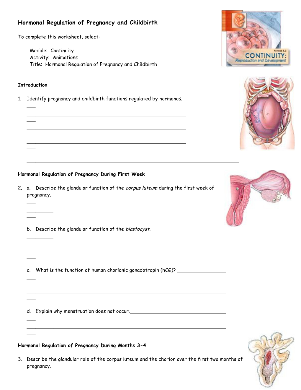 Endocrine System: Overview s1