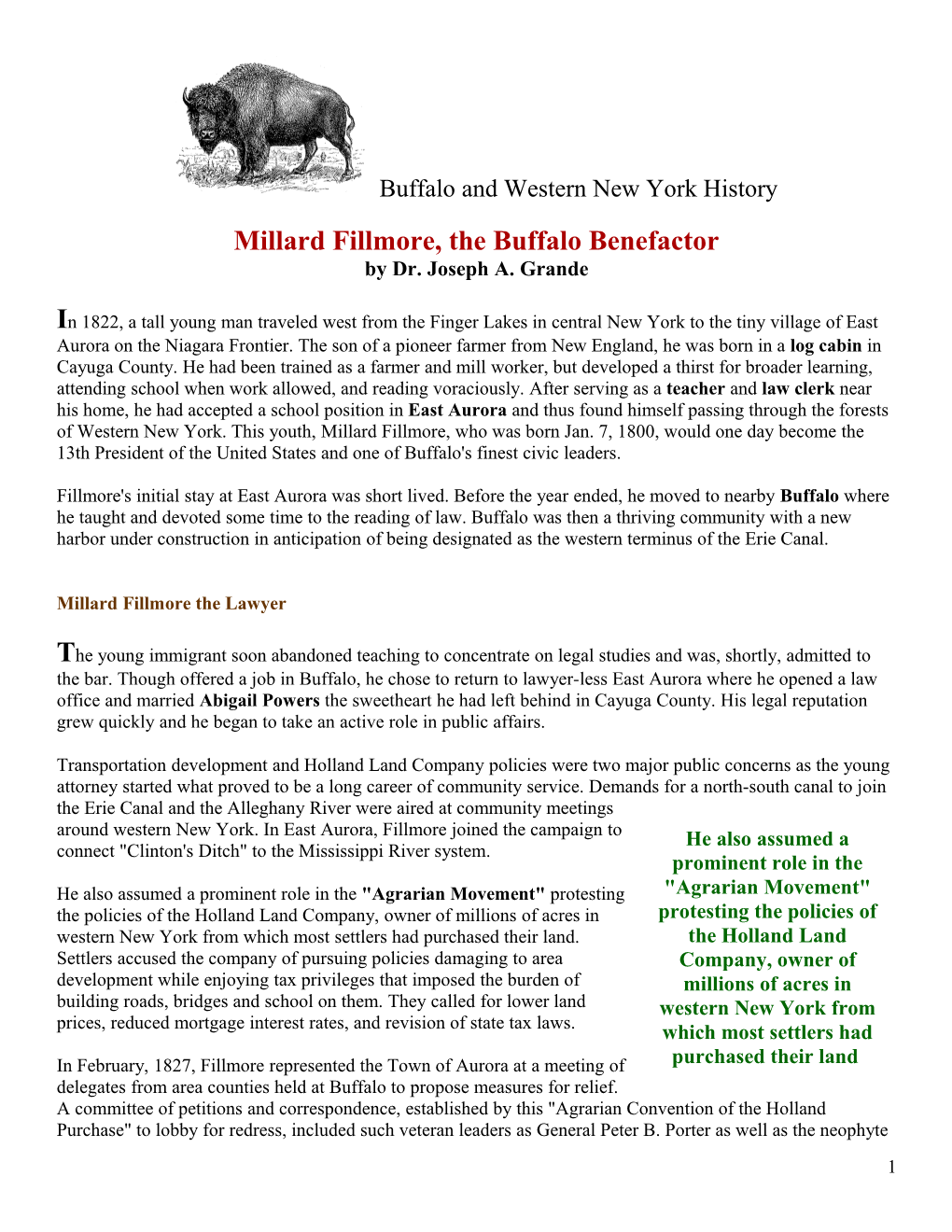 Buffalo and Western New York History