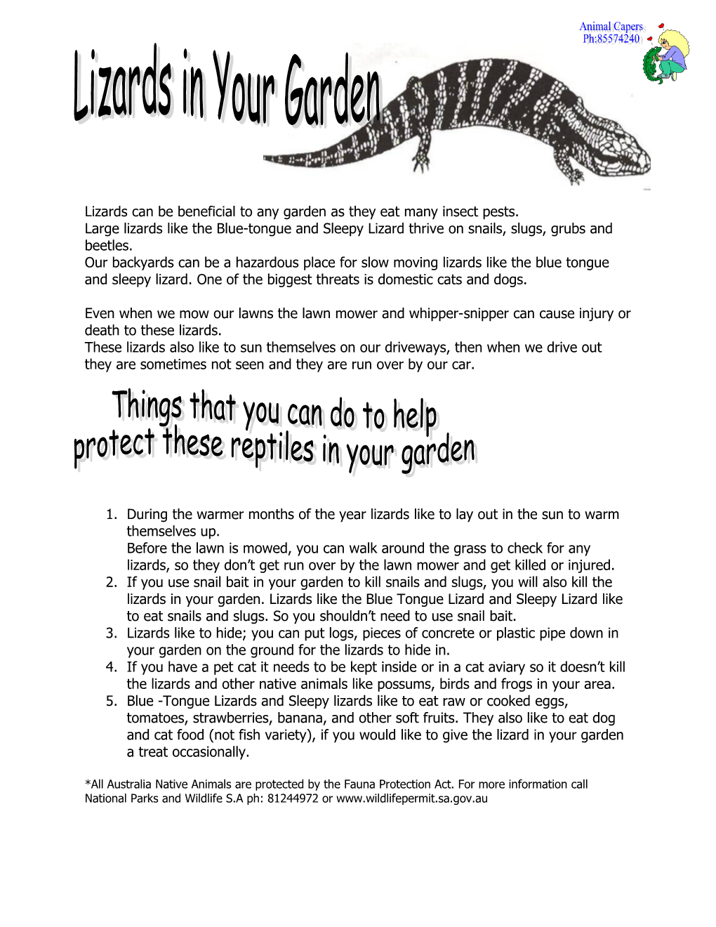 Lizards Can Be Beneficial to Any Garden As They Eat Many Insect Pests
