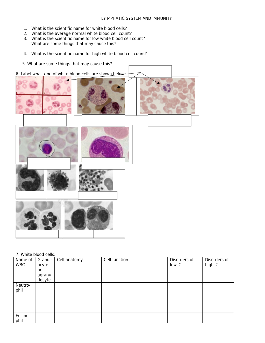 Ly Mphatic System and Immunity Review Worksheet