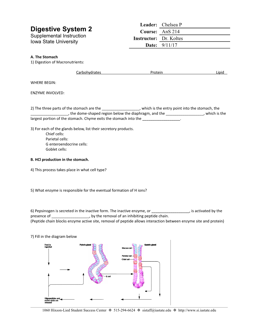 1) Digestion of Macronutrients