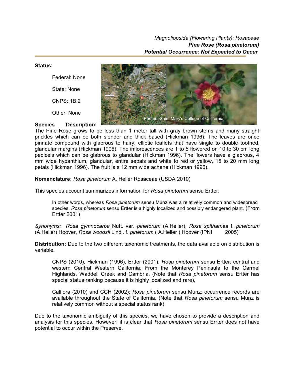 Magnoliopsida (Flowering Plants): Rosaceae
