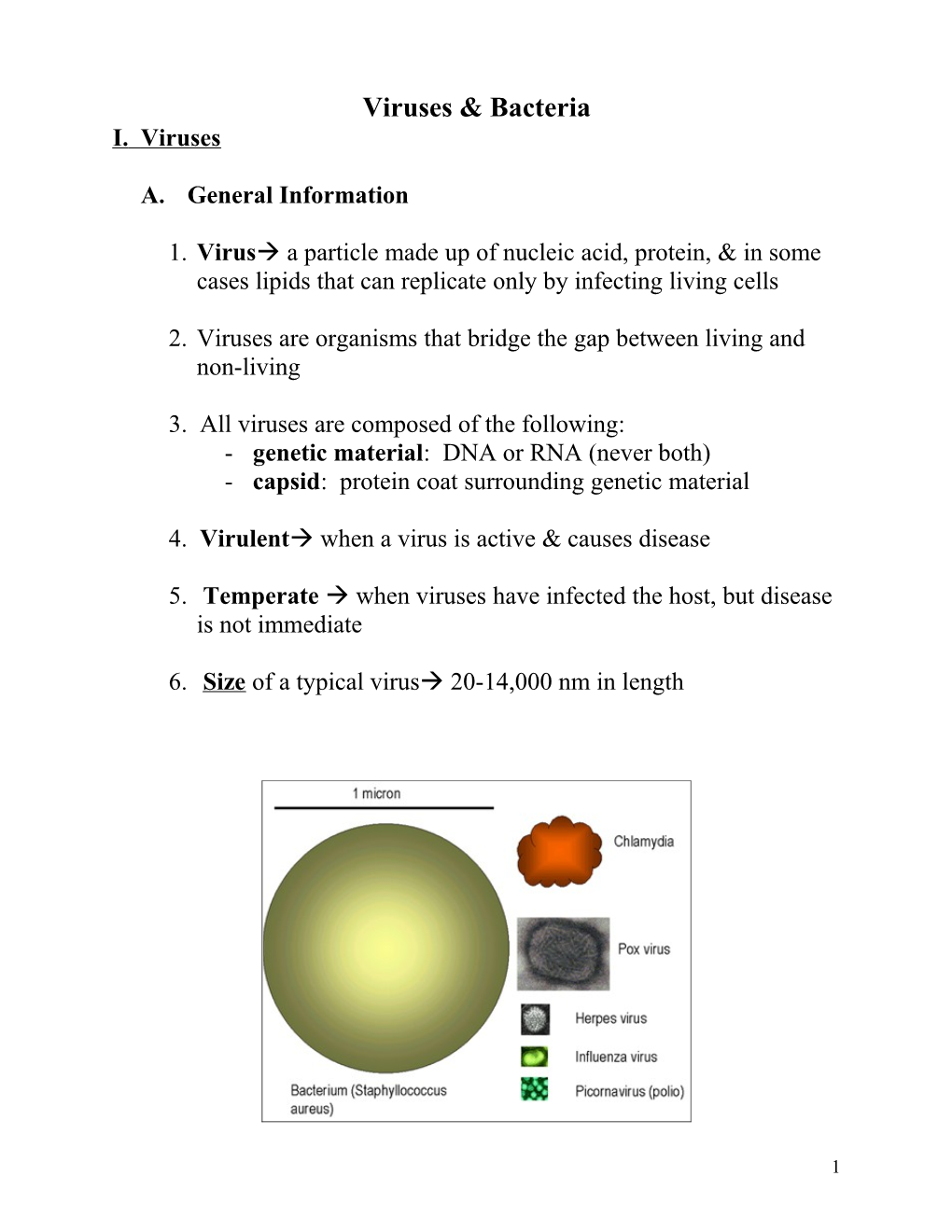 Viruses & Bacteria