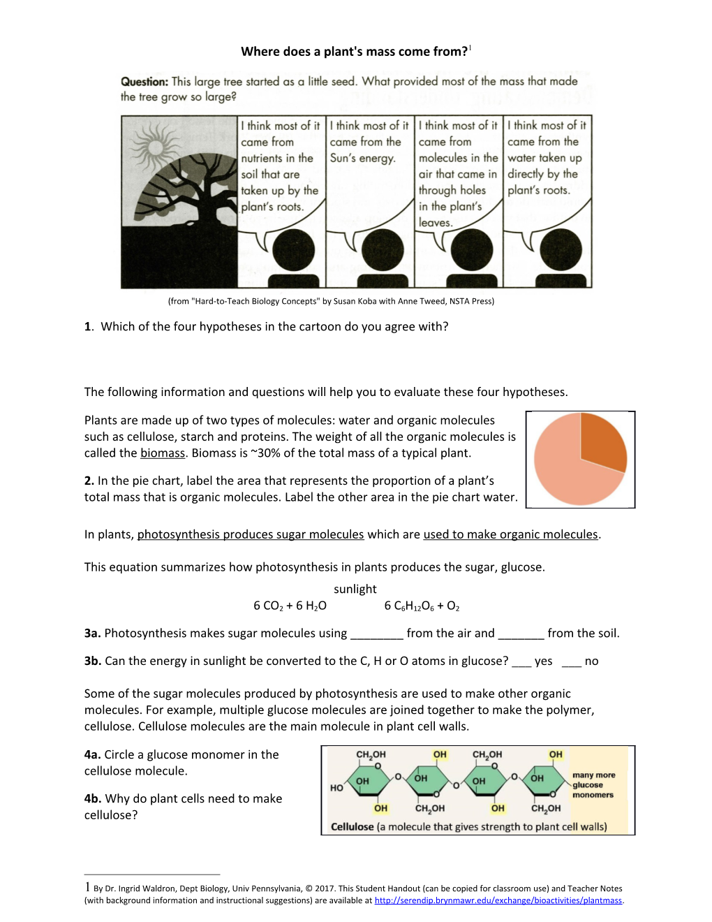 Where Does A Plant’S Mass Come From