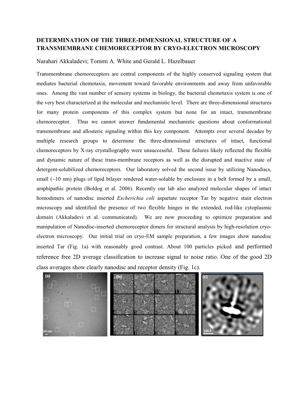 Determination of the Three-Dimensional Structure of a Transmembrane Chemoreceptor By