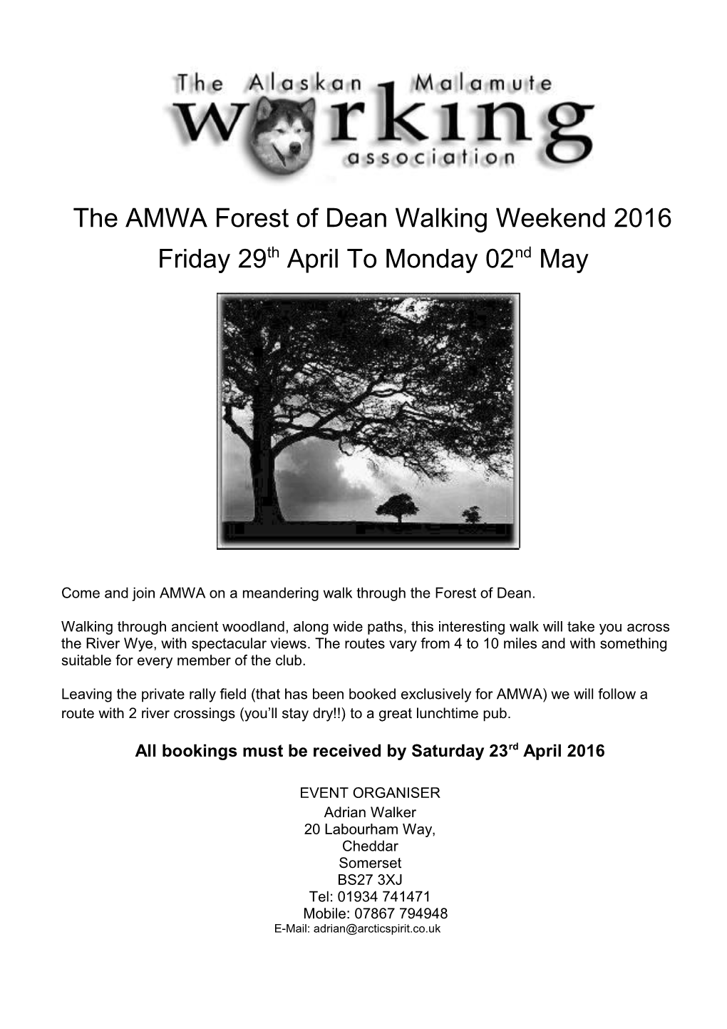 Come and Join AMWA on a Meandering Walk Through the Forest of Dean