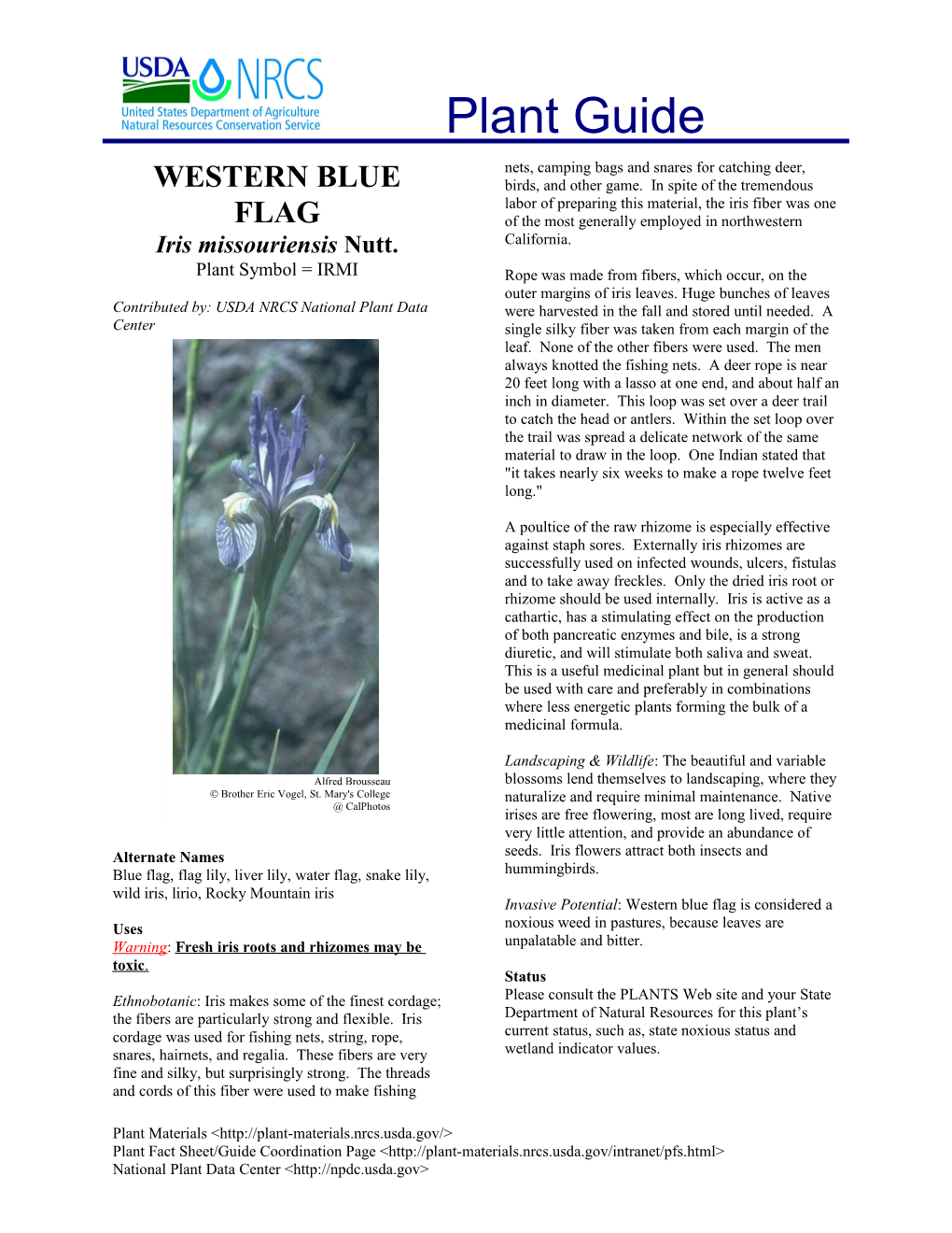 Western Blue Flag