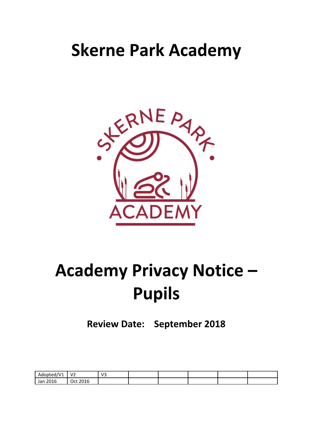 Academy Privacy Notice Pupils