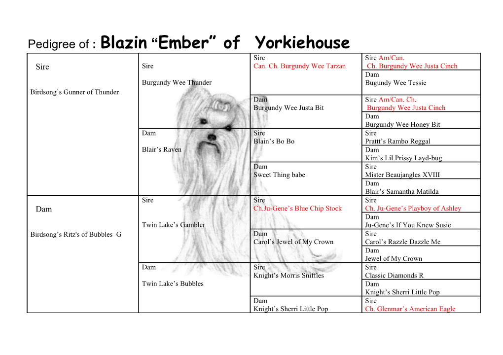 Pedigree of : Blazin Ember of Yorkiehouse