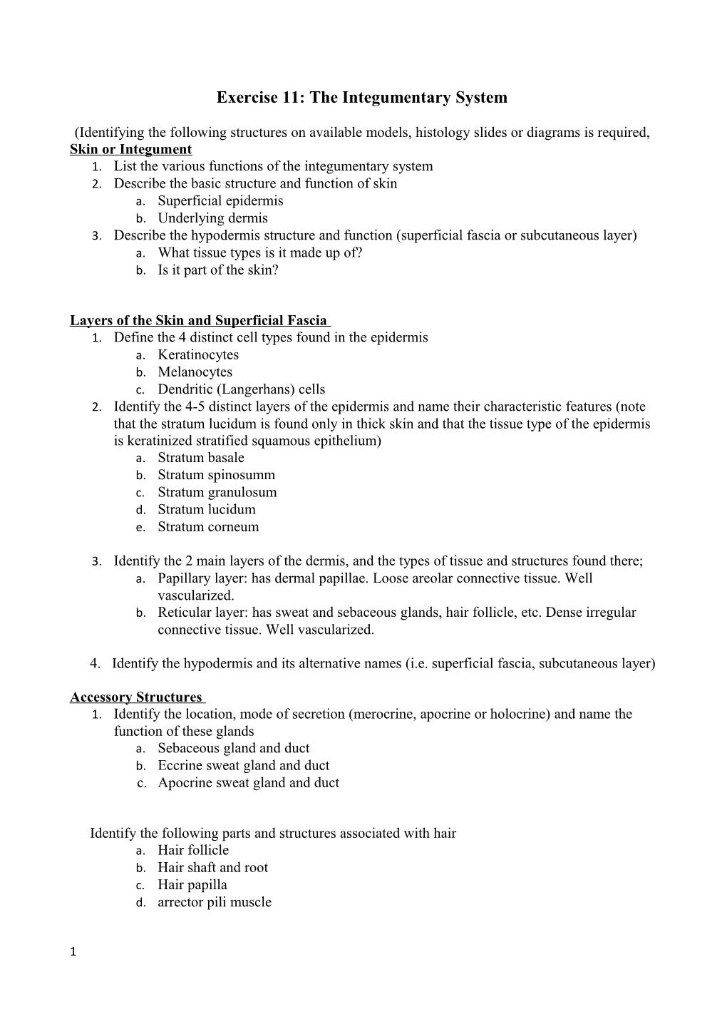 Exercise 11: the Integumentary System