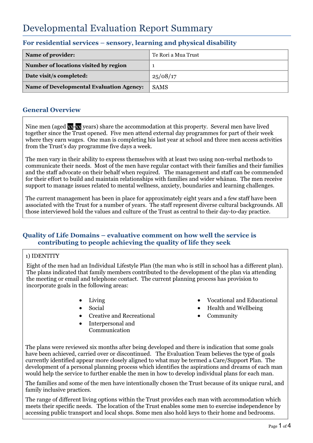 Developmental Evaluation Report Summary s1