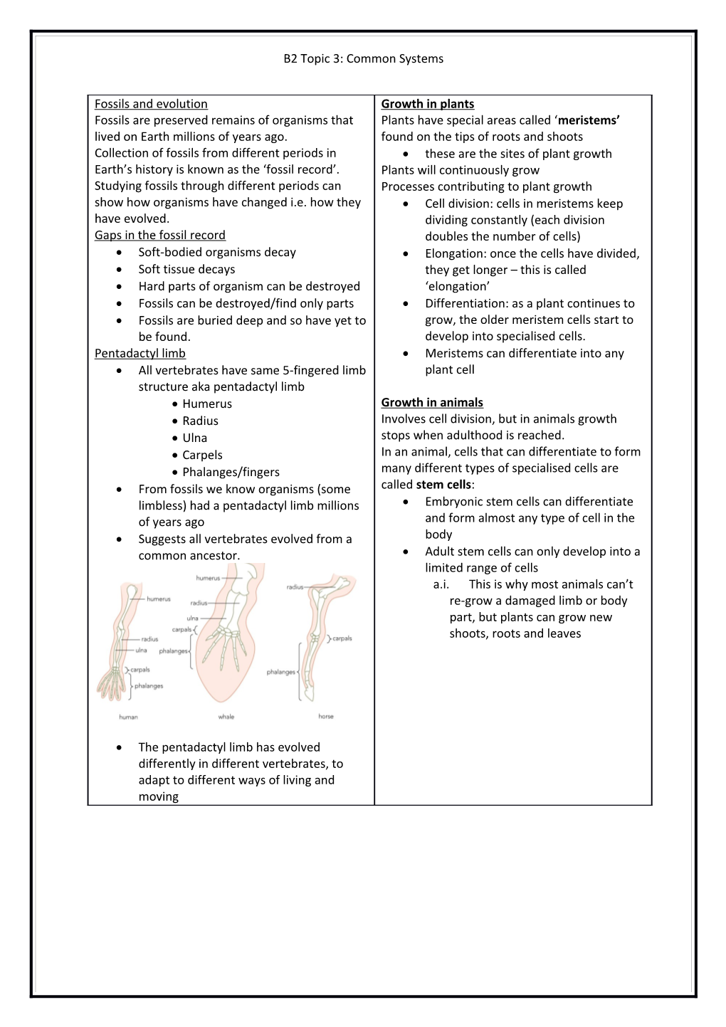 B2 Topic 3: Common Systems