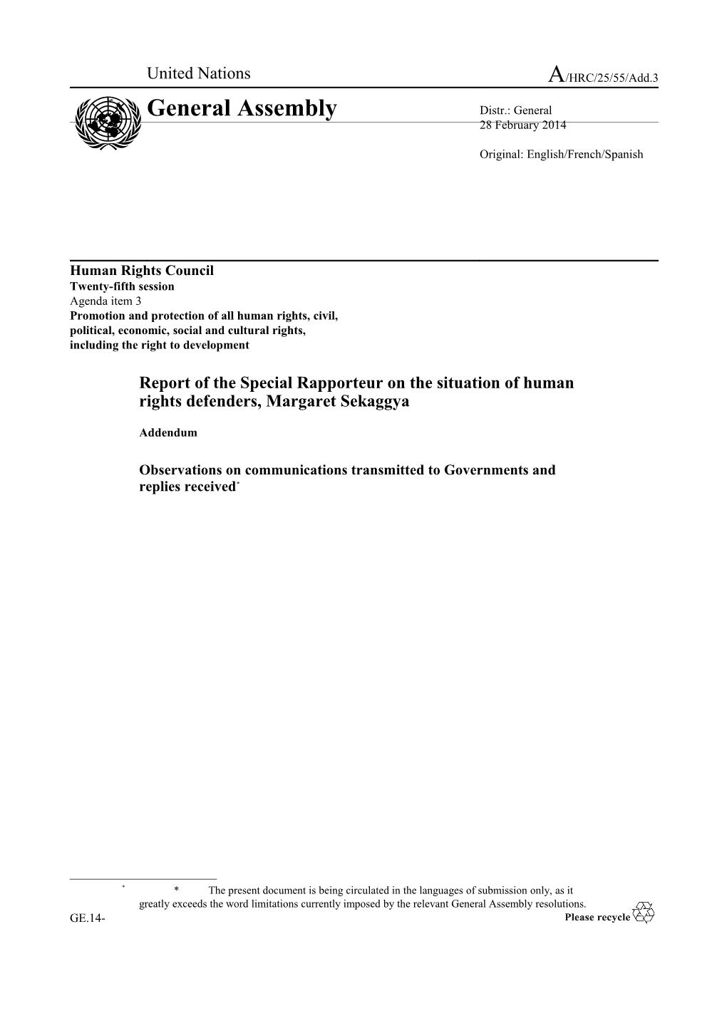 Report of the Special Rapporteur on the Situation of Human Rights Defenders - Observations