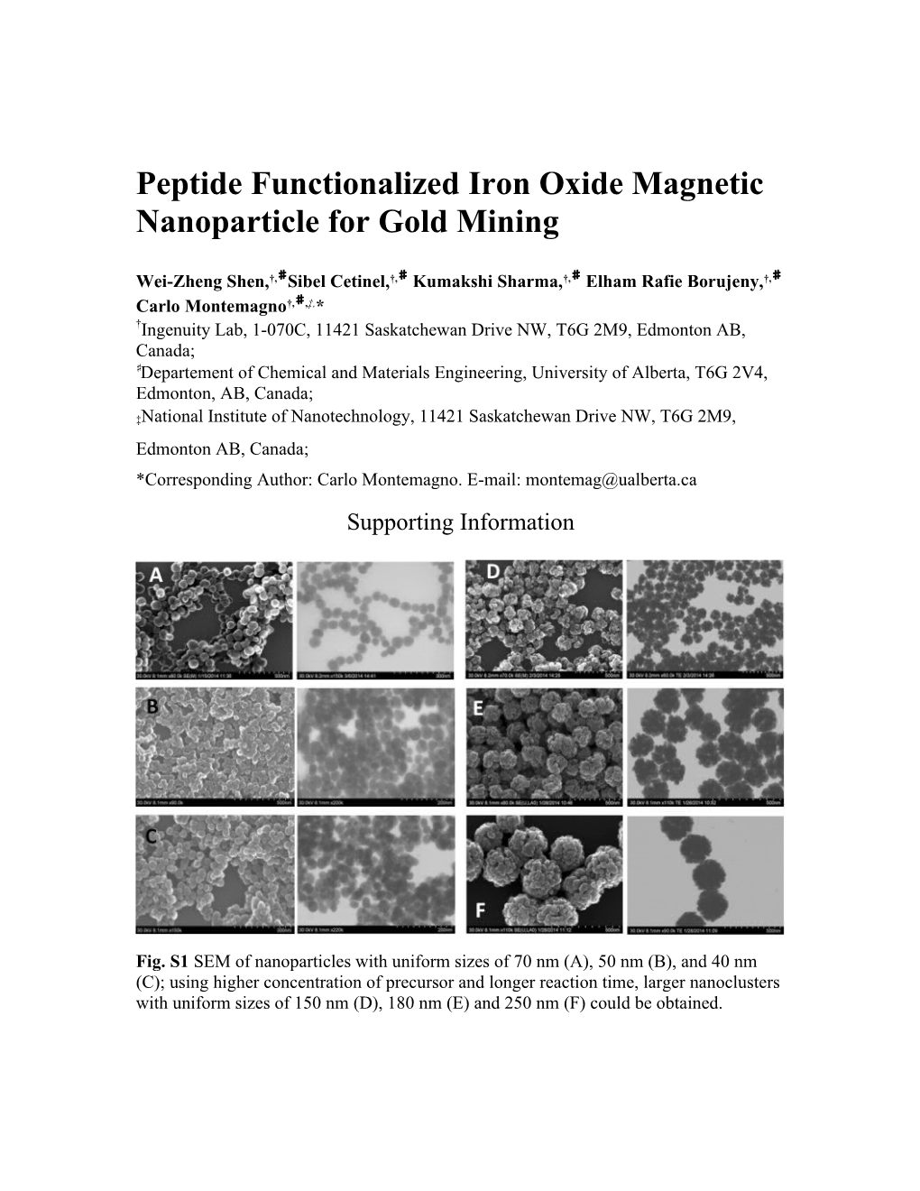 Peptide Functionalized Iron Oxide Magnetic Nanoparticle for Gold Mining