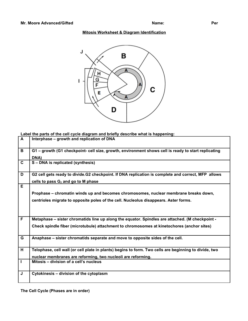 Mitosis Worksheet & Diagram Identification
