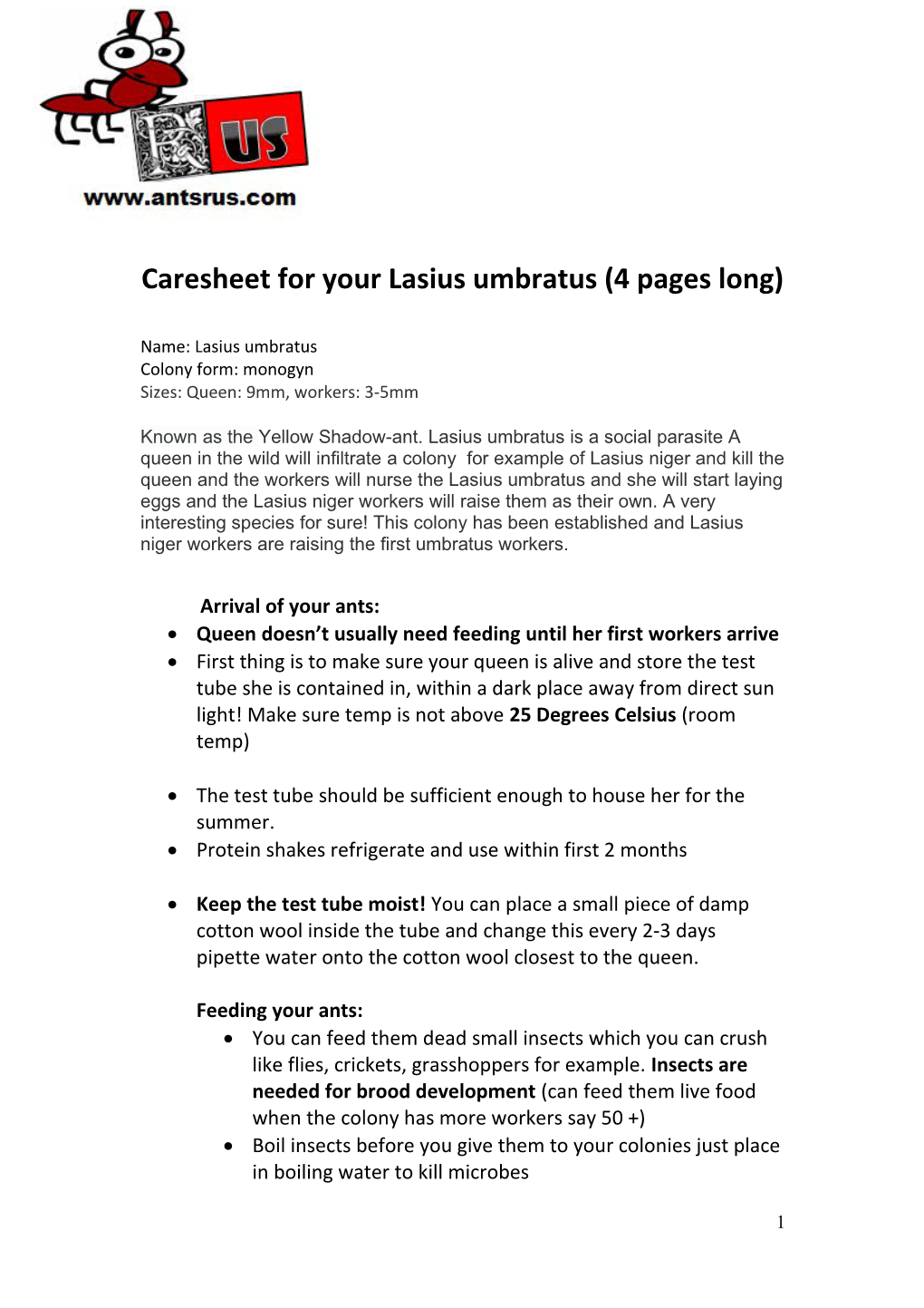 Caresheet for Your Lasius Umbratus (4 Pages Long)