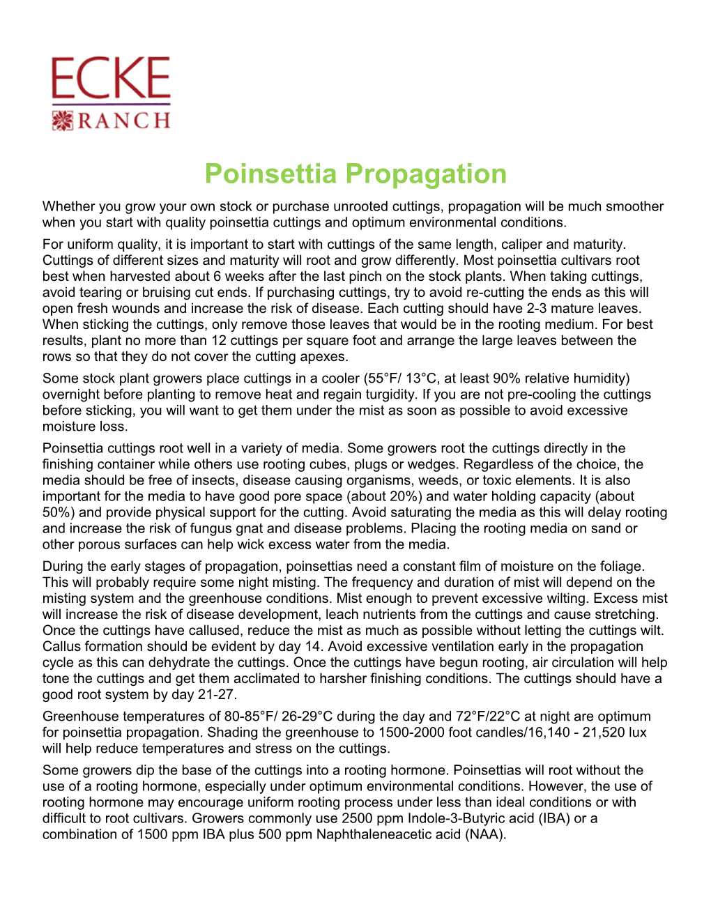 Poinsettia Propagation