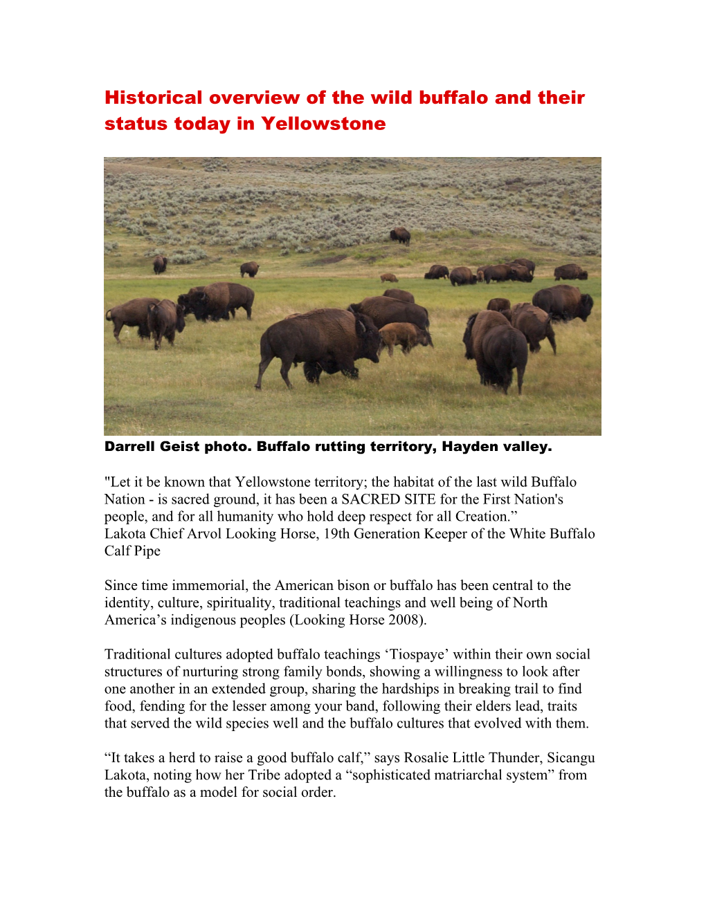 Since Time Immemorial, The Indigenous American Bison Or Buffalo Has Been Central To The Identity And Well Being Of North Americ
