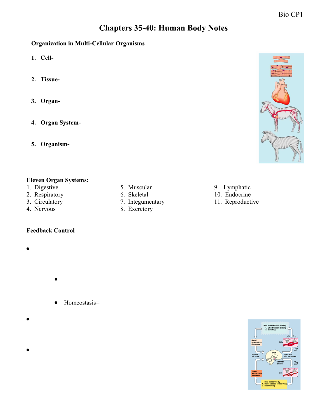 Digestive System: Pathway