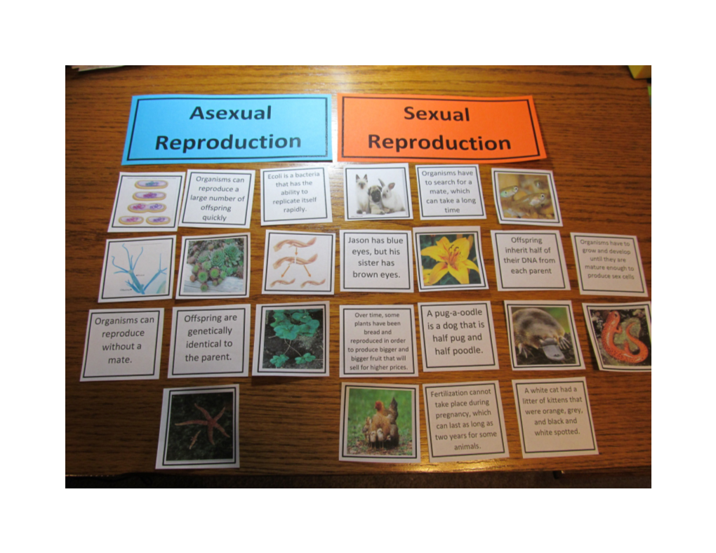 Sexual Vs. Asexual Reproduction