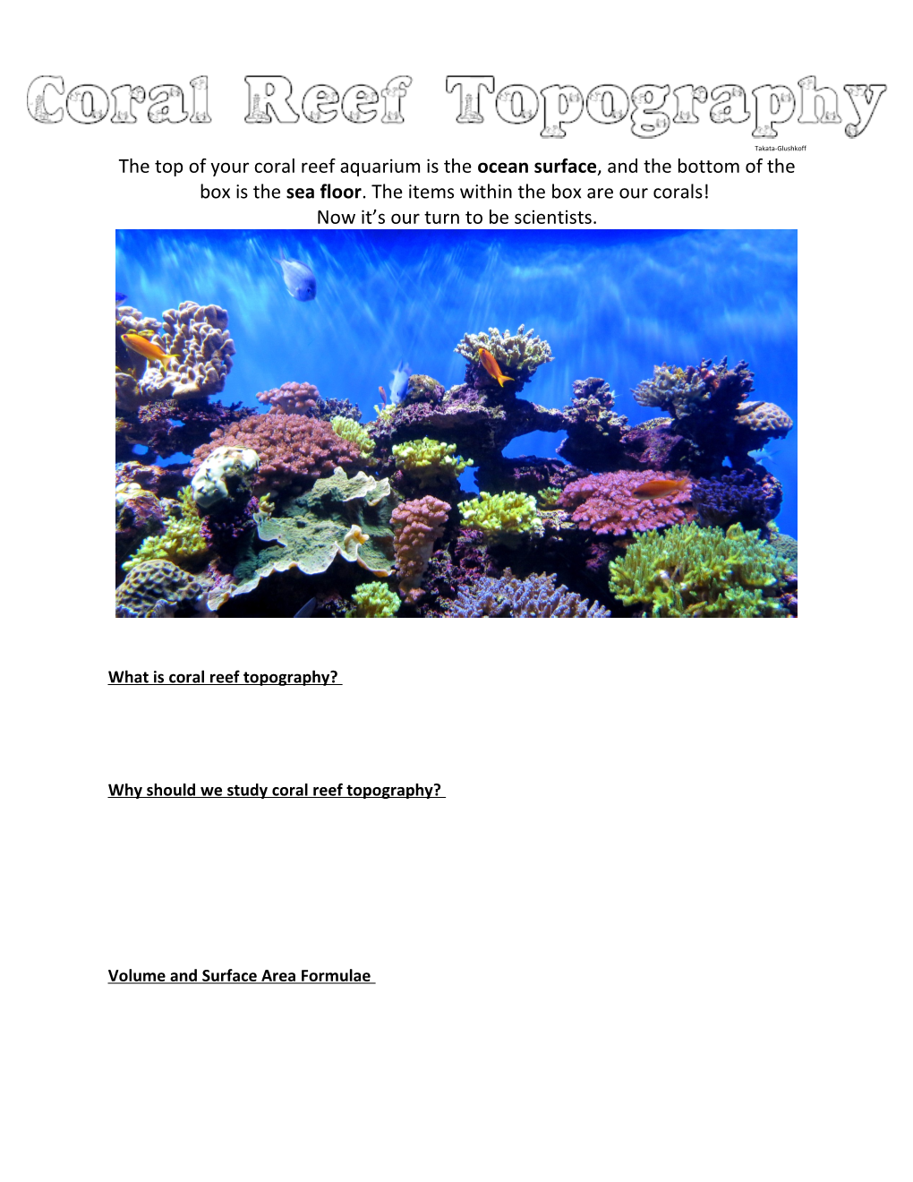 What Is Coral Reef Topography?
