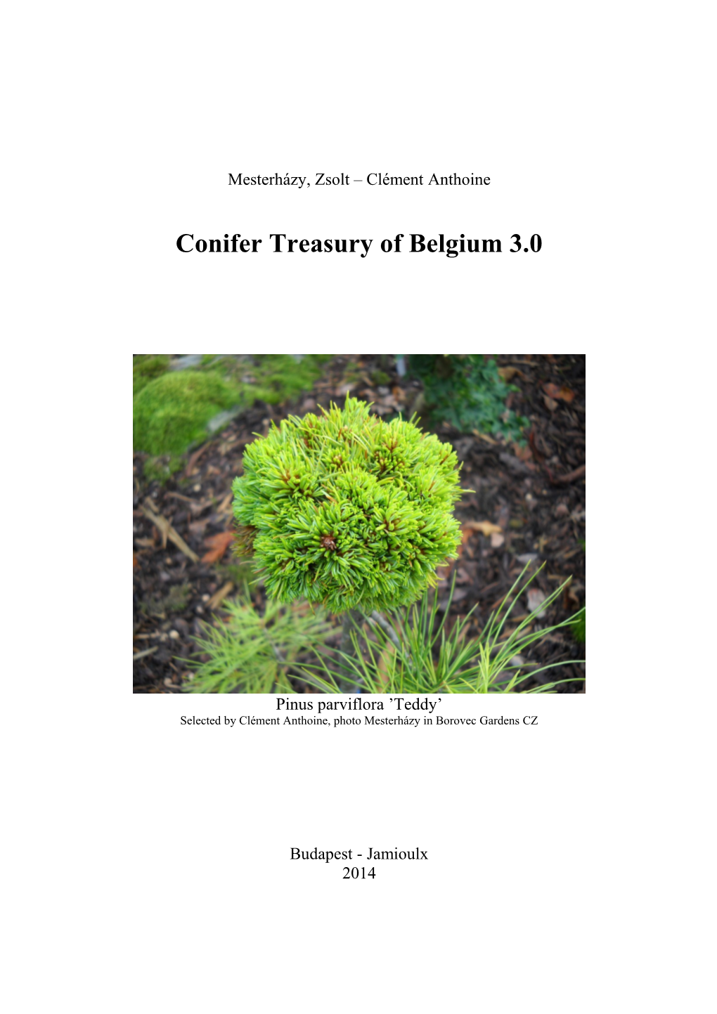Conifer Treasury of Belgium 1
