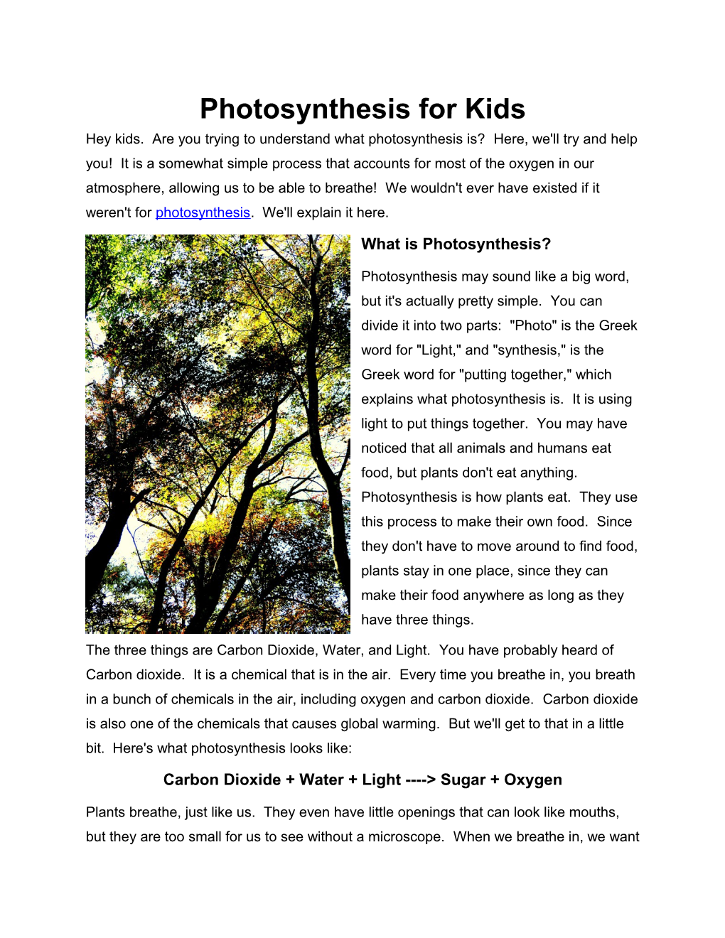 Photosynthesis for Kids