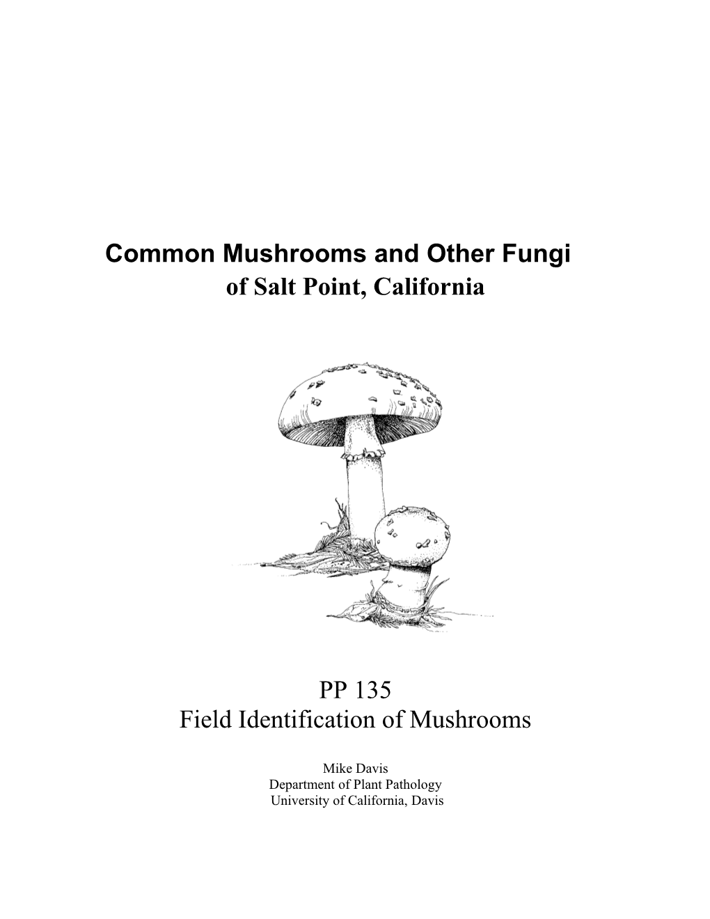 Common Mushrooms and Other Fungi
