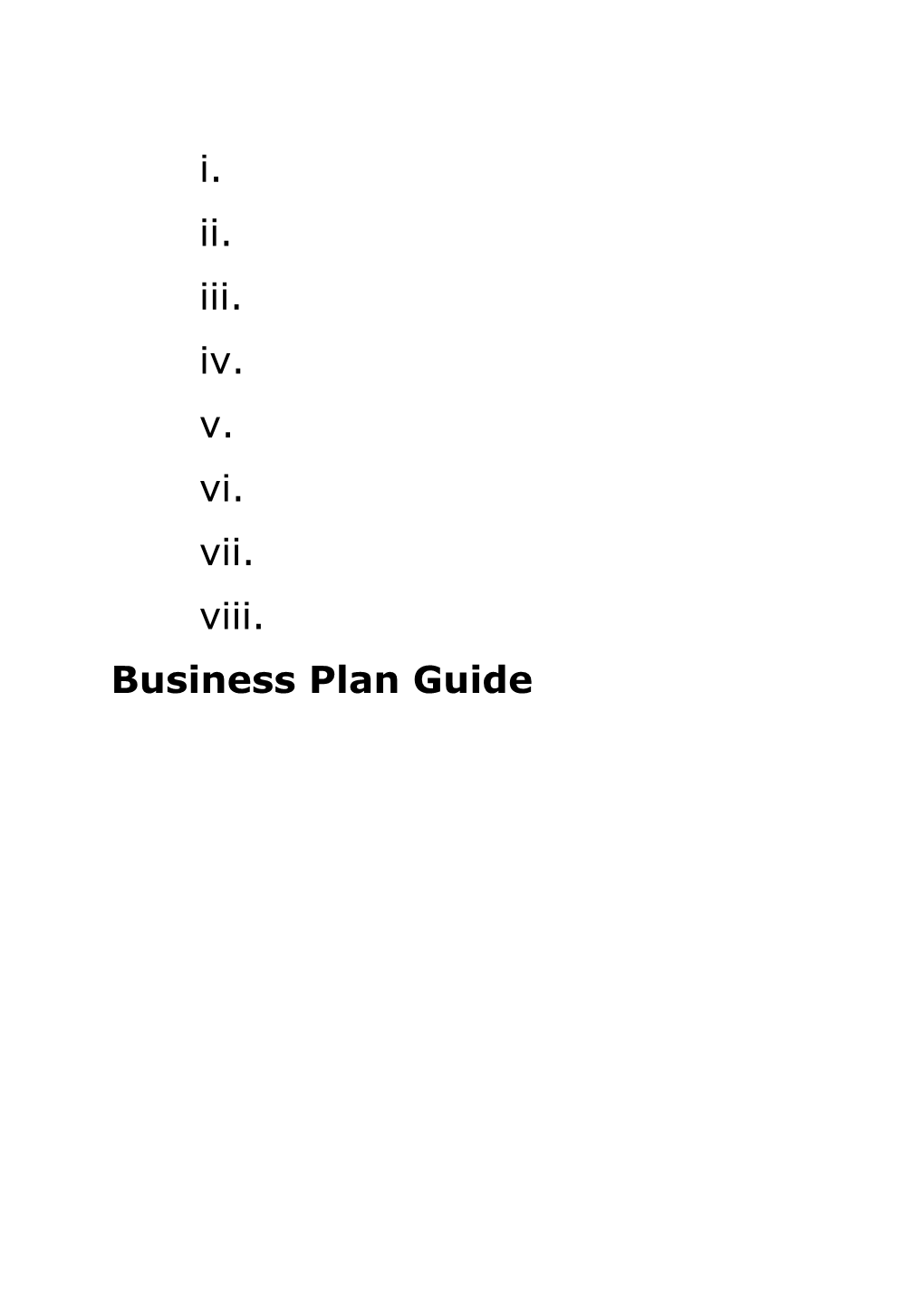 Business Plan Guide