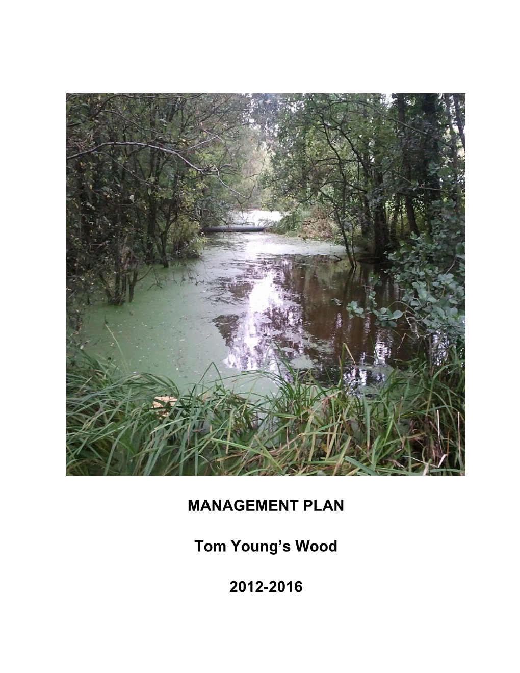 Five Year Managemant Plan Tom Youngs Wood