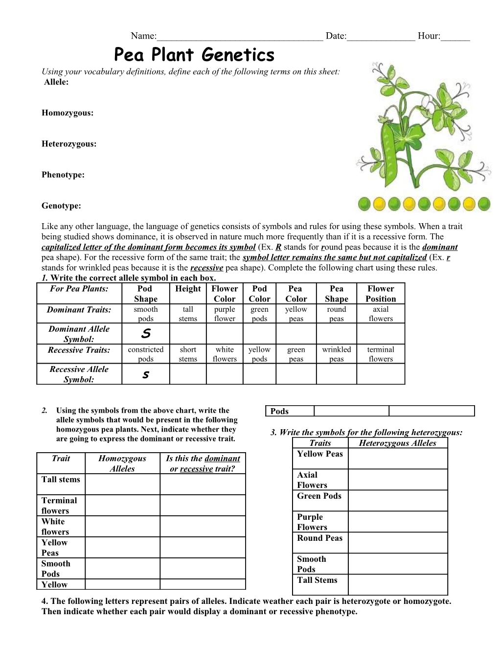 Pea Plant Genetics