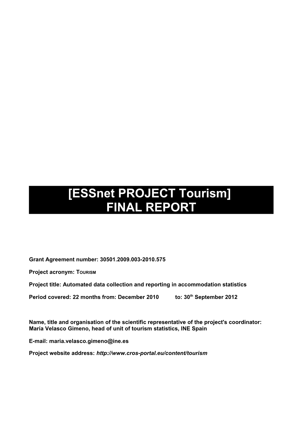 Final Report Template