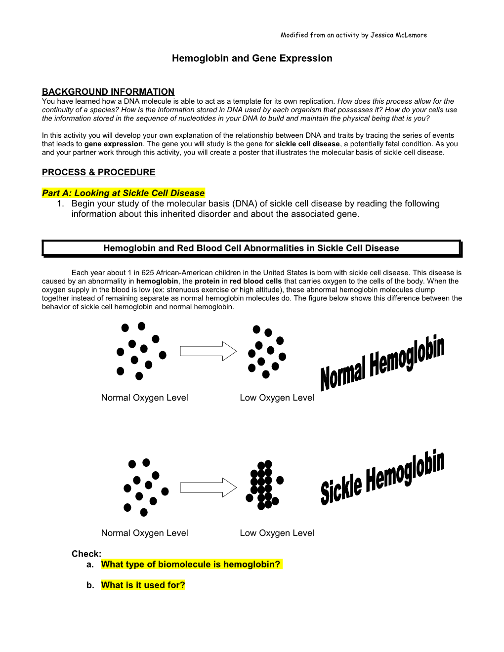 Gene Expression: Protein Synthesis