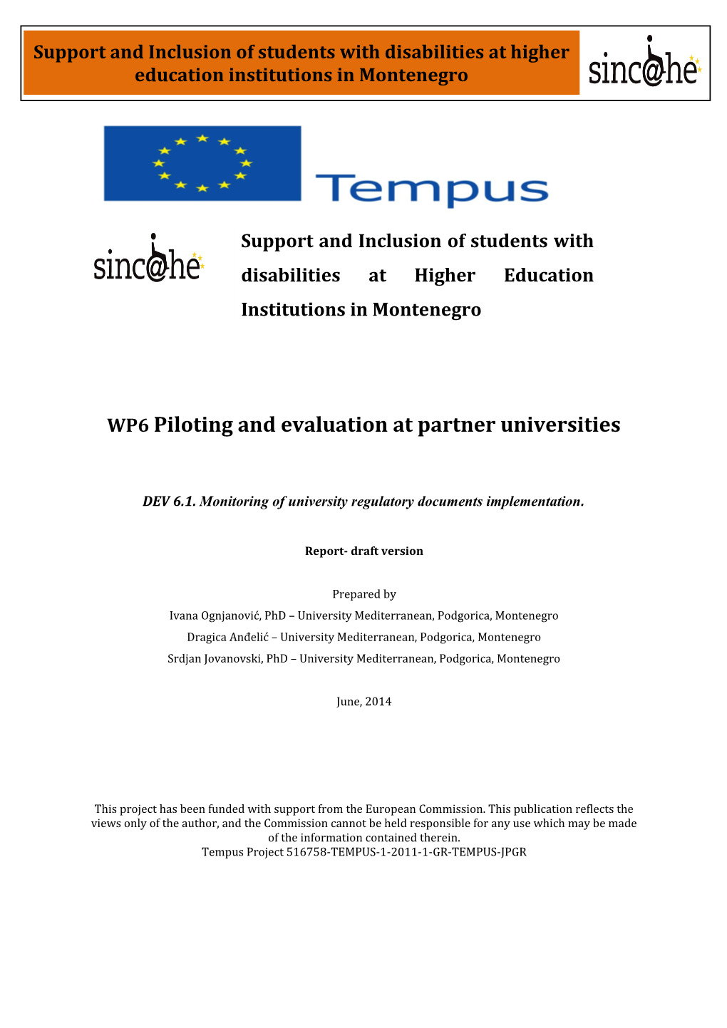 WP6 Piloting and Evaluation at Partner Universities