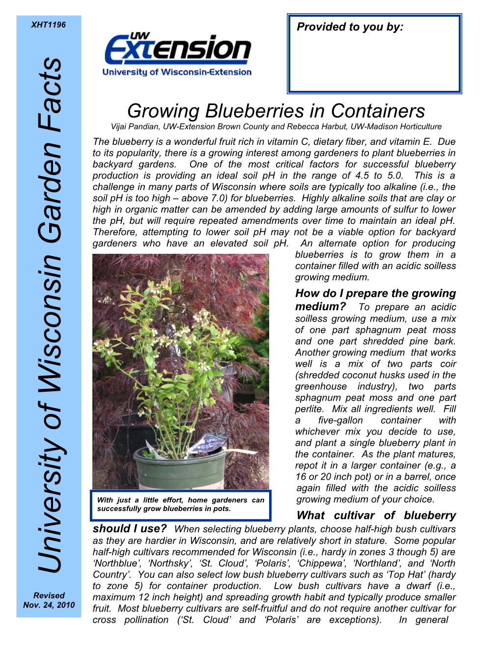 Growing Blueberries in Containers