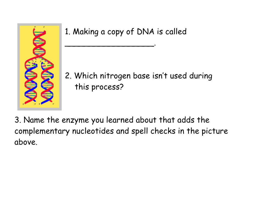 2. Which Nitrogen Base Isn T Used During