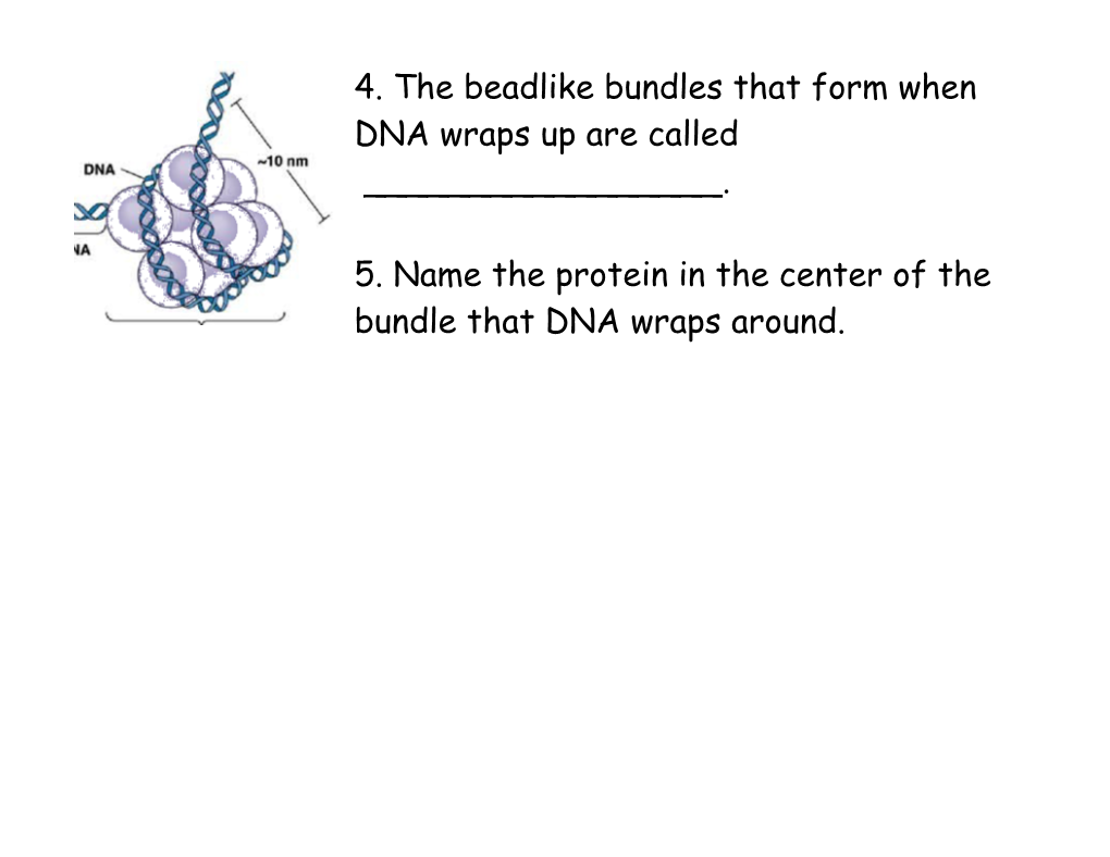 2. Which Nitrogen Base Isn T Used During