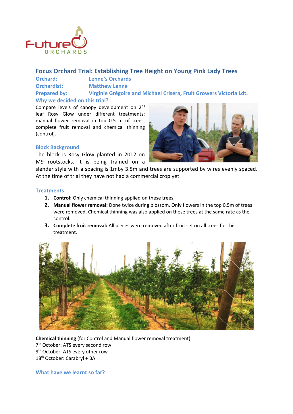 Focus Orchard Trial: Establishing Tree Height on Young Pink Lady Trees