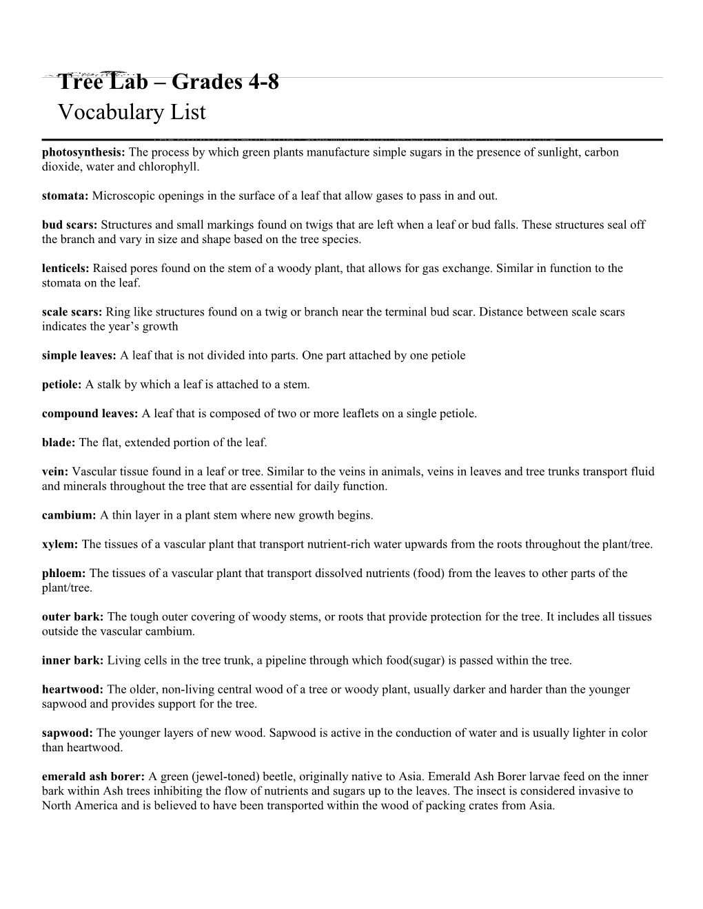 Tree Lab Grades 4-8