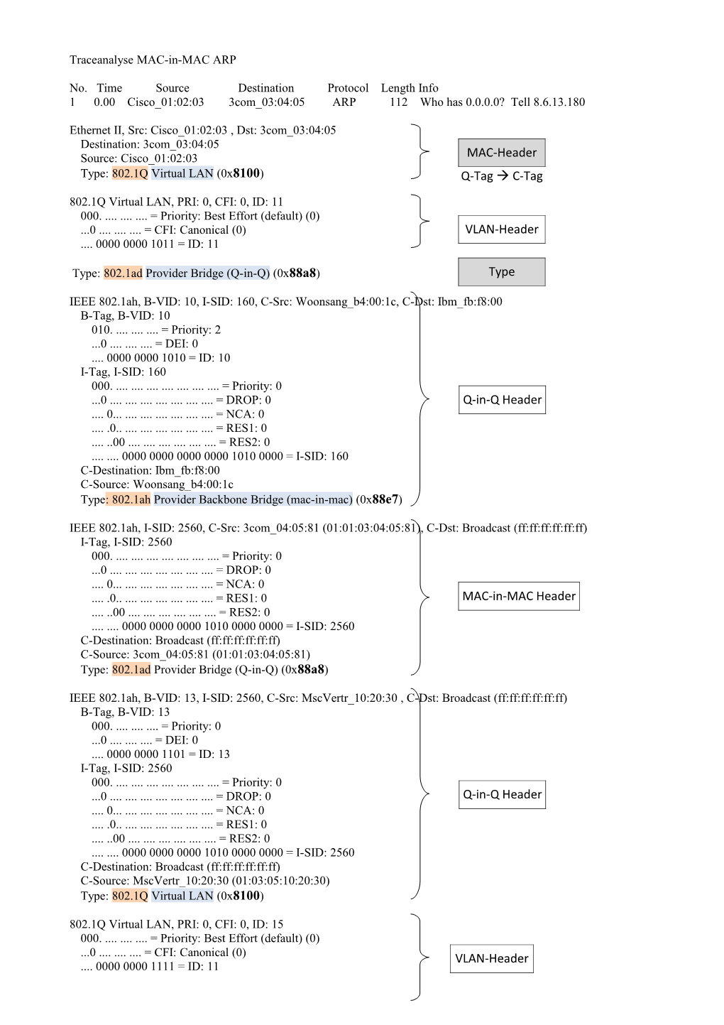 Traceanalyse MAC-In-MAC ARP