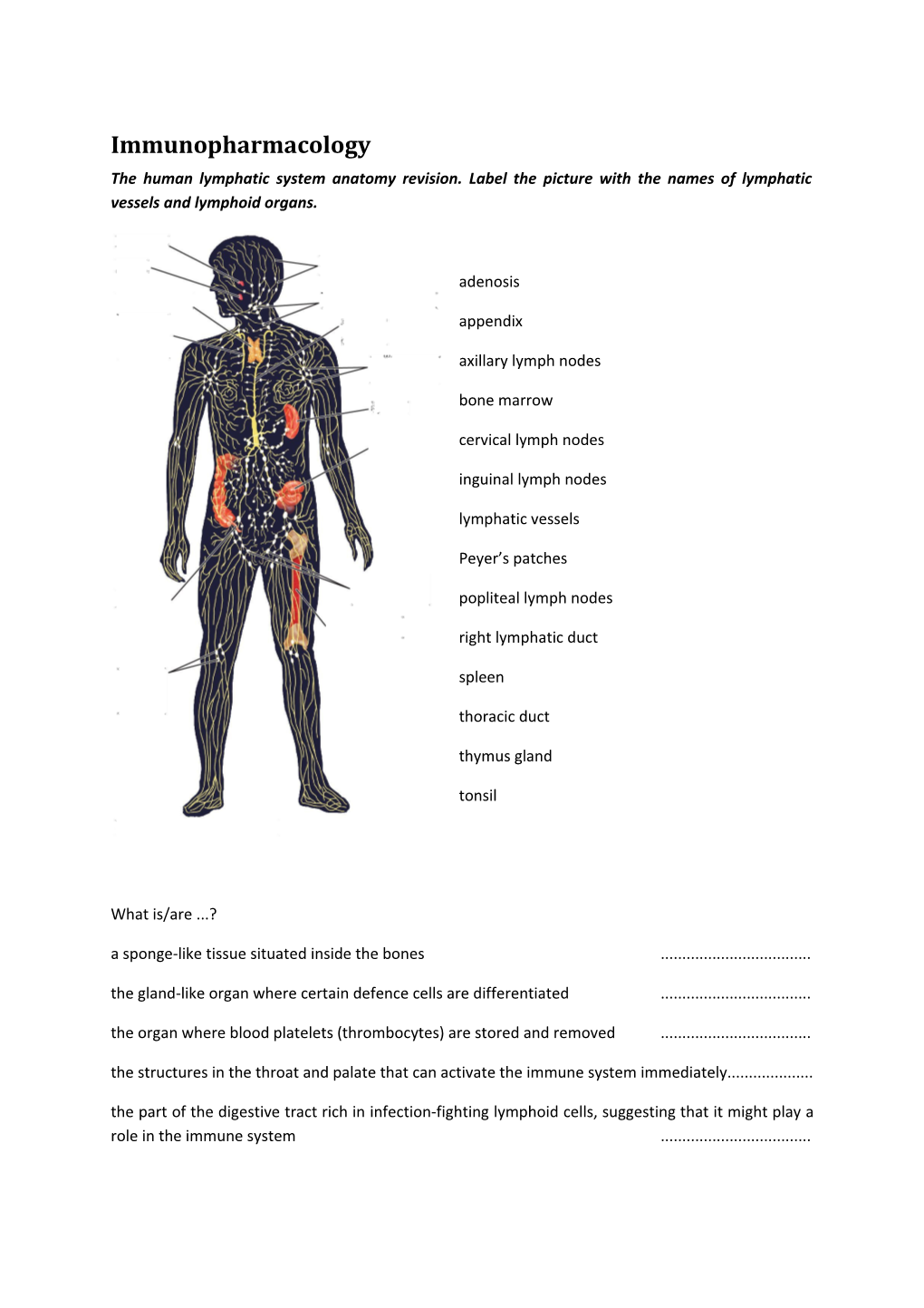 The Human Lymphatic System Anatomy Revision. Label the Picture with the Names of Lymphatic