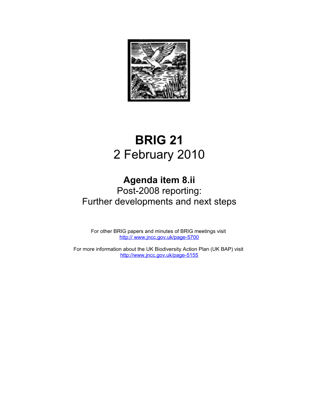 BRIG020210 Post 2008 Reporting Further Developments and Next Steps