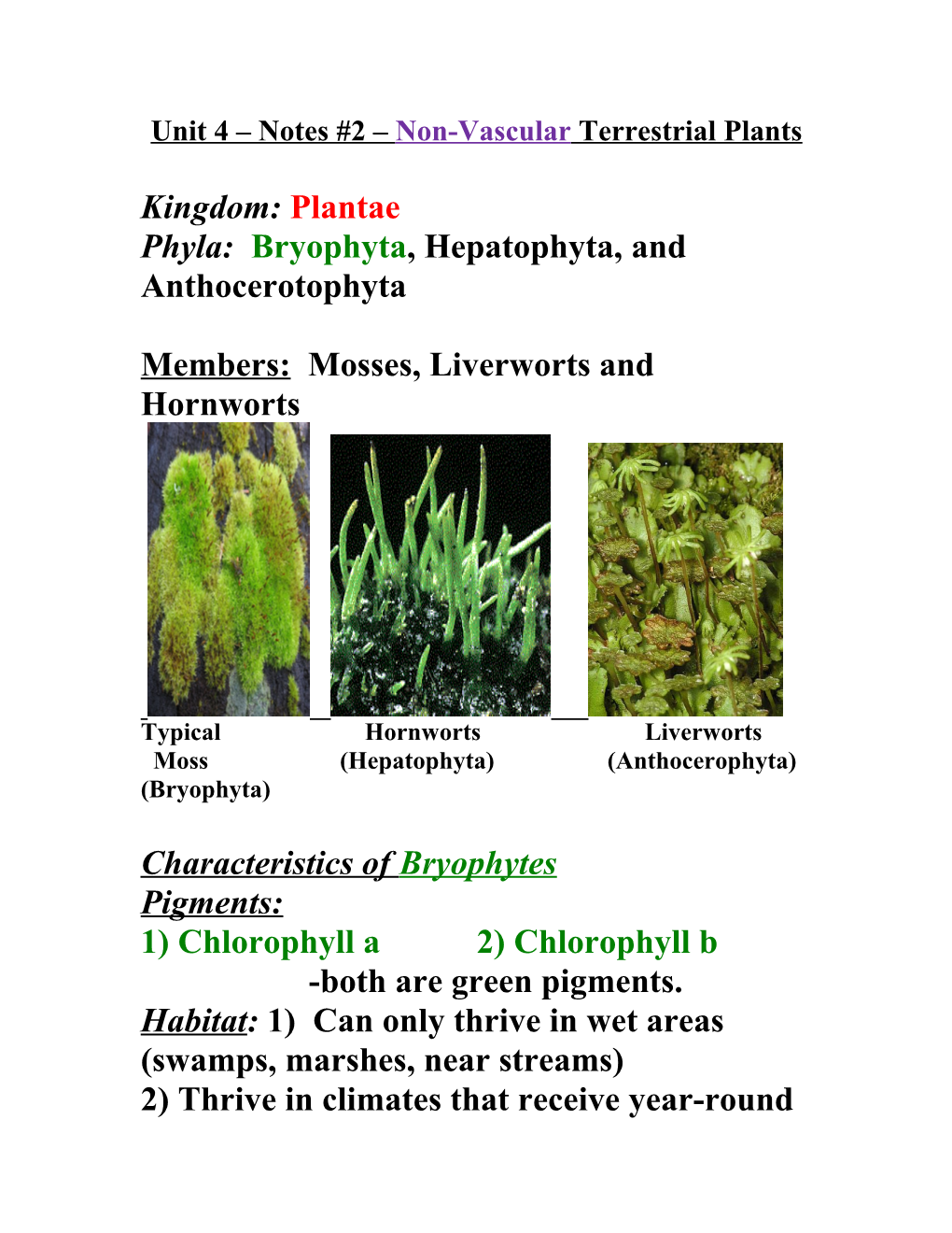 Unit 4 Notes #2 Non-Vascular Plants